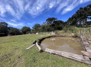 Rural · 15000m² · 3 Quartos · 
                Chácaras - Linha 40
                