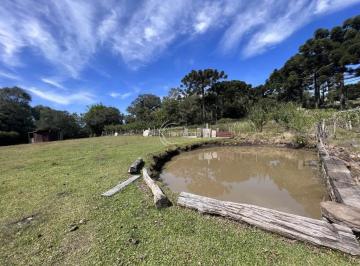 Rural · 15000m² · 3 Quartos · 
                Chácaras - Linha 40
                