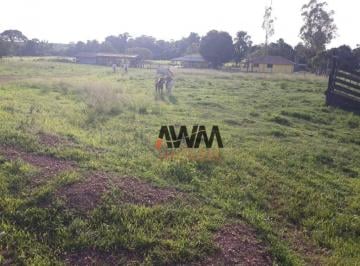 e1df141e1aa4f2fa8ed2f7204808ab87af983598 · Fazenda à venda, 22022000 m² por R$ 28.000.000,00 - Zona Rural - Duerê/TO