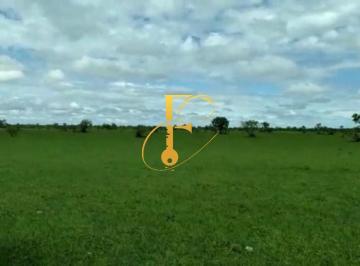 Foto 01 · Fazenda, São Félix do Araguaia, São Félix do Araguaia, MT