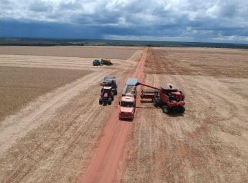 Rural de 4 quartos, Arinos · FAZENDA PARA PLANTIO EM ARINOS / UNAI PARA PLANTIO COM PIVOR 98150-8787