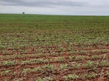 Rural de 4 quartos, Monte Alegre de Goiás · FAZENDA EM MONTE ALEGRE DE GOIÁS COM 6.280 HECTARES JÁ PLANTADA -OPORTUNIDADES!!