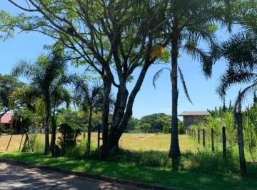 Foto 01 · Terreno, Chapadão, São Sebastião do Caí, RS