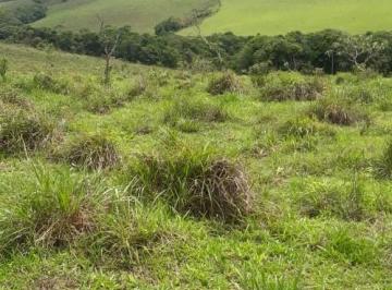 9a6d4d1f62a6822a71430669dc4804d3.jpeg · Fazenda / Sítios / Chácaras com 3 quartos à venda em Ibertioga, no bairro Zona Rural