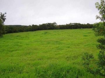 58ec6d3fcf4fad65f0e0769cb18812e2.jpeg · Fazenda / Sítios / Chácaras com 1 quarto à venda em Itutinga, no bairro Zona Rural