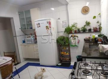 225375_it5d9j_2253756669bd921148a.jpg · Imoveis - no Parque Mandaqui