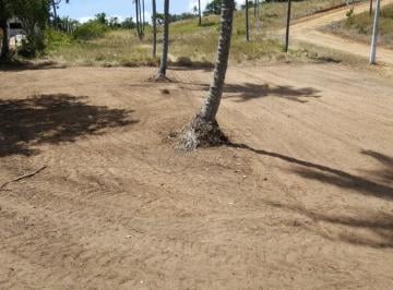 Terreno · 810m² · Lote 809m² - Loteamento Colinas do Sonho Verde II -Paripueira