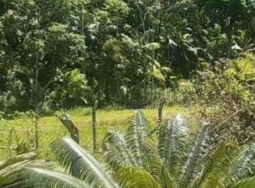 8f0aa75c566ff666b5b8fb6e8471bb3b173490ed · Terreno à venda, 9000 m² por R$ 250.000,00 - Miracatu - Miracatu/SP