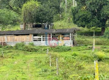 Rural · 100000000m² · 1 Quarto · Vendo Fazenda com 100Ha na Região de Ibirataia