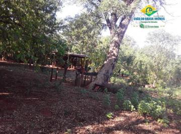 Rural · 600000ha · 2 Quartos · 2 Vagas · Chácara 6,8 ha Nova Aliança - Terenos, MS, Brasil