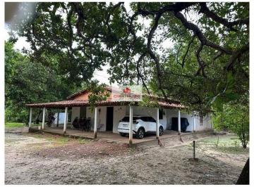 7748c93ee9b00f1b52dcce134c0046d3.jpg · Sítio 25 hectares, na região de Altos/José de Freitas, com casa, poço tubular, caixa d'água