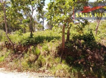 Terreno · 1370m² · Terreno à venda - em Terra Preta