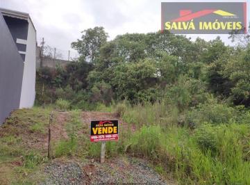 Terreno · 250m² · Terreno à venda - em Terra Preta