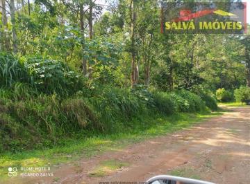 Terreno · 1000m² · Terreno à venda - em Terra Preta