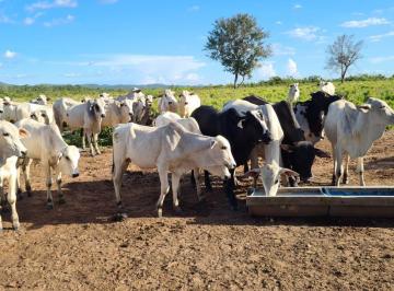 Rural , Peixe · Fazenda 2.148 Alqueires Paulista Porteira Fechada Situada em Tocantins.