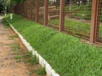 nxqbiz827QsqC6Lq6TKOYZVVQ5OyNPzp.jpg · Lote / Terreno à venda em Lagoa Santa, no bairro Condados Da Lagoa