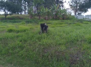 Terreno , São Paulo · Área 37.284m² Comercial Residencial Testada 250 Metros Av. Jacu Pessego Itaquera
