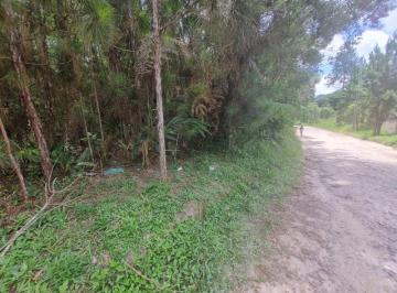 Foto 01 · Terreno em São Lourenço da Serra com área de 20.600,00 m² com riacho.