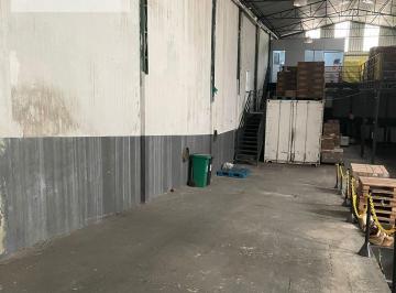 Comercial · 350m² · Galpão em Vila Guilhermina - São Paulo