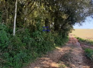 Foto 01 · ÁREA DE 20.MIL M² ESCRITURADA E REGISTRADA, SÓ 179 MIL, DÁ FINANCIAMENTO. PROX ALSFALTO, ANTES DE MA