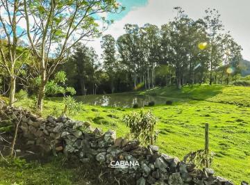 Rural · 12ha · CH567 - Chácara com 12,26 hectares
