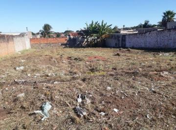 Terreno , Lins · Terreno Cidade de Lins