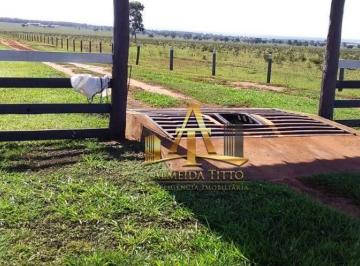 4d89695ad513d9d93d77e9ae8ff6e1b405cb7fe1 · Fazenda  à Venda - Zona Rural - Região de Campo Grande/MS