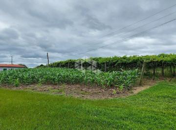 491918_ia222s94l5a67_49191865725cf780877.jpg · Área de terra de 10.4 ha em Tuiuty