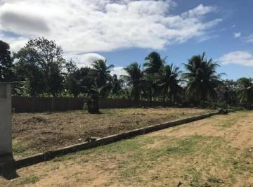 Terreno , Camaçari · Terreno 140 mt na Maracaiuba cajazeiras de Abrantes