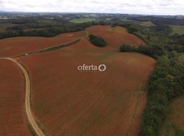 Rural · 459800m² · Chácara em Araucária com 19 alqueires