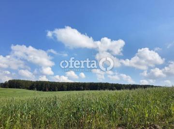 Rural · 1000m² · 3 Quartos · 2 Vagas · Fazenda na Lapa (17 alqueires)