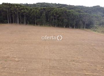 Terreno · 51990m² · Terreno em Contenda - Permissível para industria