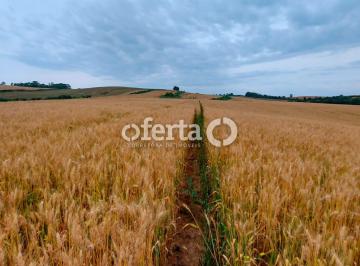 Rural · 484000m² · Fazenda em Antonio Olinto (20 alqueires)