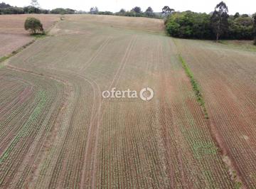 Terreno · 110000m² · Área Industrial em Campo Largo    