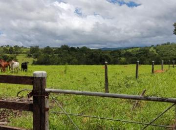 Foto 01 · Fazenda, Centro, Formosa, GO