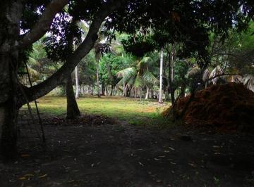 207_i5g22m469Z384ykb574_207654a937a45def.jpg · FAZENDA RIO DAS PEDRA EM CONDE