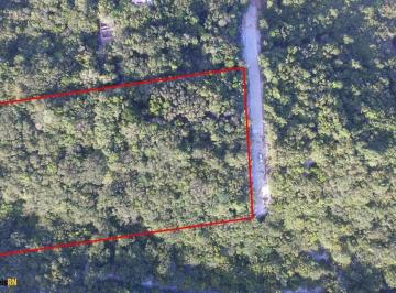 20231010190757244202.jpg · Terreno para Venda em Tibau do Sul, Praia de Pipa