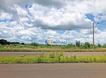 5a892d04fd705502df0e48723d5517c584c04a80 · Terreno à venda, 301 m² por R$ 160.000 - Jardim dos Ipês, Sarandi