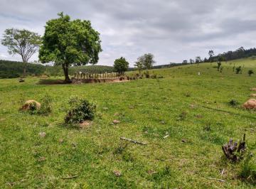 Terreno , Itapeva · Área 440.000m² Topografia Boa Para Loteamento Nobre, Hotel Fazenda Haras,Itupeva