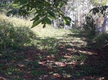 e1574bf09cbb273401e87730936fa0f1b3c7dd9b · Terreno à venda, 1000 m² por R$ 60.000,00 - Ribeirão das Sete Almas - Taubaté/SP