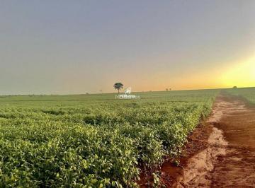 vf8gcaq2ntjlywmwywrimzux_md.jpg · Área de Agricultura em Caarapó - MS