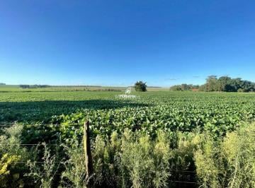 cbuzt82ntjlywjlztq0mwyx_md.jpg · Área de agricultura próximo a Caarapó-MS