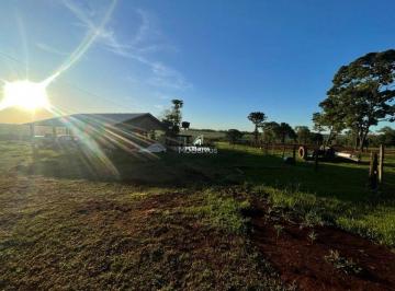 pnl2802ntjlywjmm2m1nzgw_md.jpg · Área de agricultura no município de Caarapó