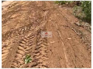 9a89d725b99eda6e4998064593234e42.jpg ·  Fazenda com 10.000 hectares, bruta, dupla aptidão (70% com aproveitamento para agricultura)