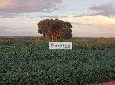 c2c6bbaad22913aeade6fdaa5165c5318f2f695a · Fazenda à vend R$ 410.000.000 - . - Paranapanema/SP