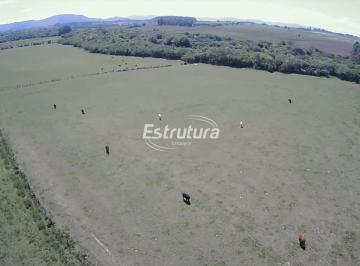 Rural · 3ha · Chácara de 3 ha próxima a nova perimetral