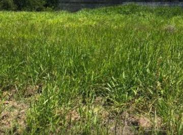 a9e9a1685078c7e4826f1b4811f7d54b24e62631 · Terreno à venda, 872 m² por R$ 1.800.000,00 - Condomínio Residencial Colinas do Paratehy - São José