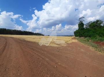 Rural · SÍTIO DE 6 ALQUEIRES - SAO PEDRO DO IGUAÇU - PR - SANTA MÔNICA