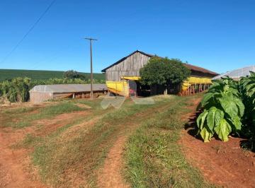 Rural · 6000m² · Chácara à venda 23.600. m , Área Rural, SAO PEDRO DO IGUACU - PR