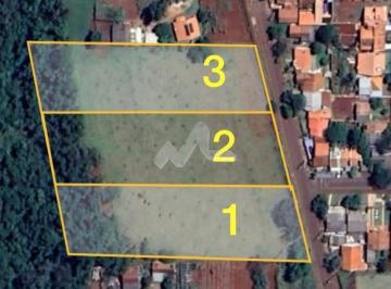 Rural · 5245m² · 1 Quarto · Chácara com 1 dormitório à venda,5245.13 m , Coopagro, TOLEDO - PR